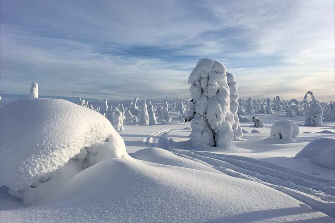 Rovaniemi: Riisitunturi Full-Day Wilderness Adventure & BBQ - Key Highlights You’ll Care About