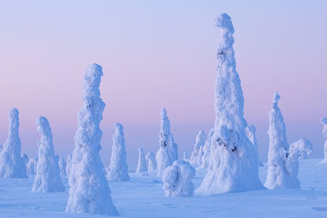 Rovaniemi: Riisitunturi Full-Day Wilderness Adventure & BBQ - Riisitunturi National Park in One 8-Hour Block