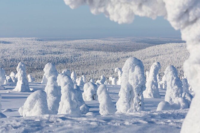 Rovaniemi: Riisitunturi Full-Day Wilderness Adventure & BBQ - Photography Tips That Fit This Exact Day