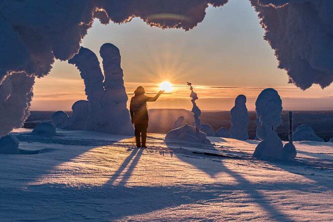 Rovaniemi: Riisitunturi Full-Day Wilderness Adventure & BBQ - Entering the Winter World: Tykky Snow Sculptures and Arctic Vistas