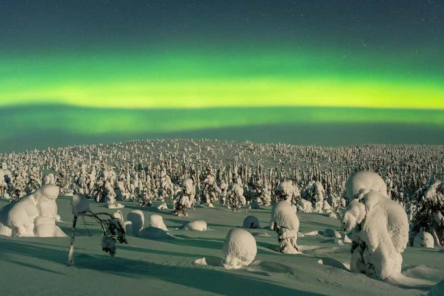 Rovaniemi: Riisitunturi Guided Hike with Photography and BBQ - Key highlights
