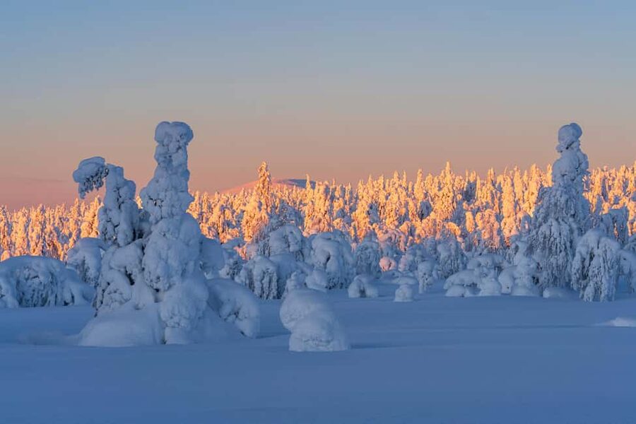 Rovaniemi: Riisitunturi Guided Hike with Photography and BBQ - Riisitunturi from Rovaniemi: the long, scenic van ride that sets the tone