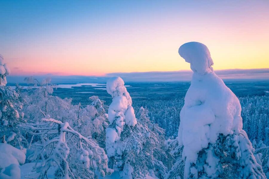 Rovaniemi: Riisitunturi Guided Hike with Photography and BBQ - Professional photo stops: turning a hike into a story you can keep