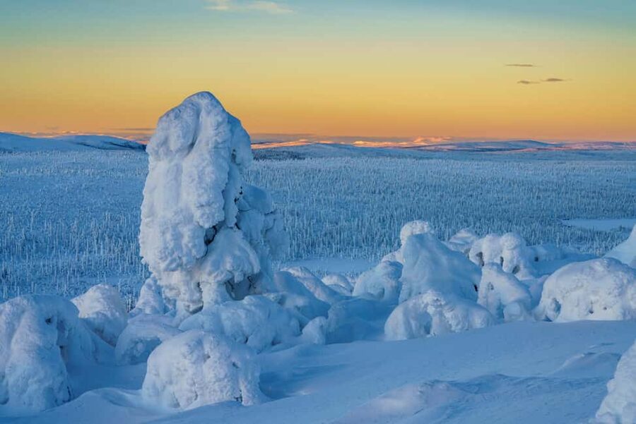 Rovaniemi: Riisitunturi Guided Hike with Photography and BBQ - The guided snow hike: why a 4.3-kilometer loop is a smart length