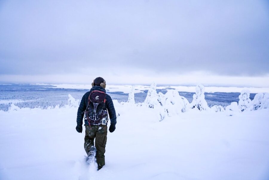 Rovaniemi: Riisitunturi National Park Day Trip with Lunch - The 4 km winter walk: pace, optional snowshoes, and the reality of wind