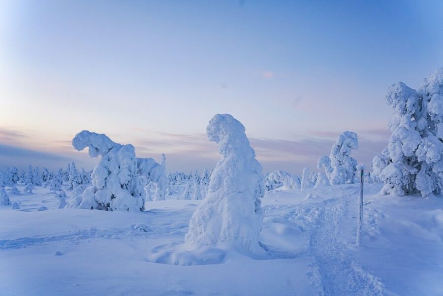 Rovaniemi: Riisitunturi National Park Day Trip with Lunch - What to bring (and what the cold will demand)