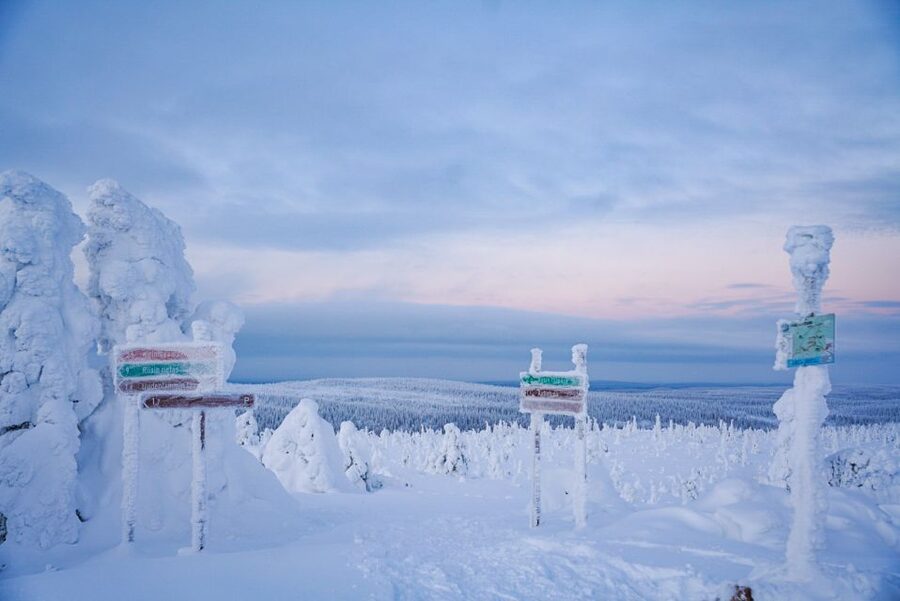 Rovaniemi: Riisitunturi National Park Day Trip with Lunch - Who this day trip is best for (and who should skip it)