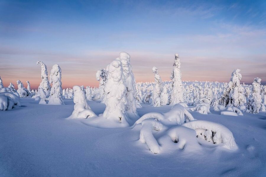Rovaniemi: Riisitunturi National Park with Pro Photos & BBQ - BBQ and Camp Activities: The Warm Reset After the Snow Walk