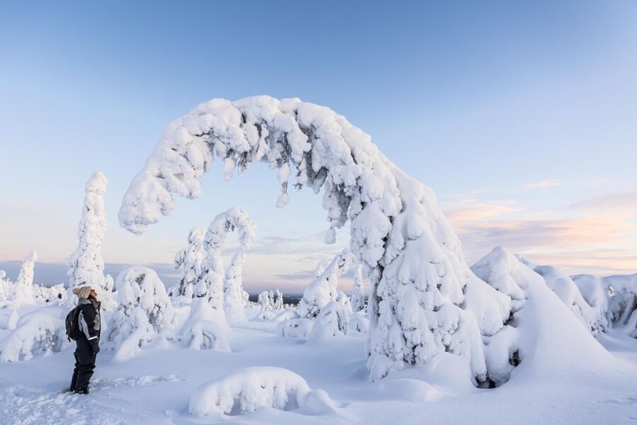 Rovaniemi: Riisitunturi National Park with Pro Photos & BBQ - Getting 10–15 Edited Photos: Real Value, Not Just a Souvenir