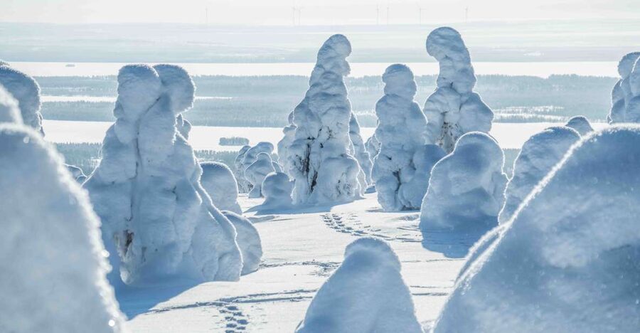 Rovaniemi: Riisitunturi National Park with Pro Photos & BBQ - Weather and Snow Reality Check: What to Expect When the Sky Changes