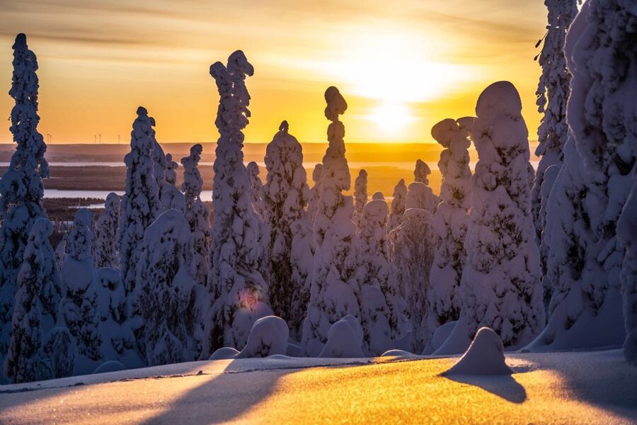 Rovaniemi: Riisitunturi National Park with Pro Photos & BBQ - Photo Stops Above the Trees: Why This Hike Feels So Big