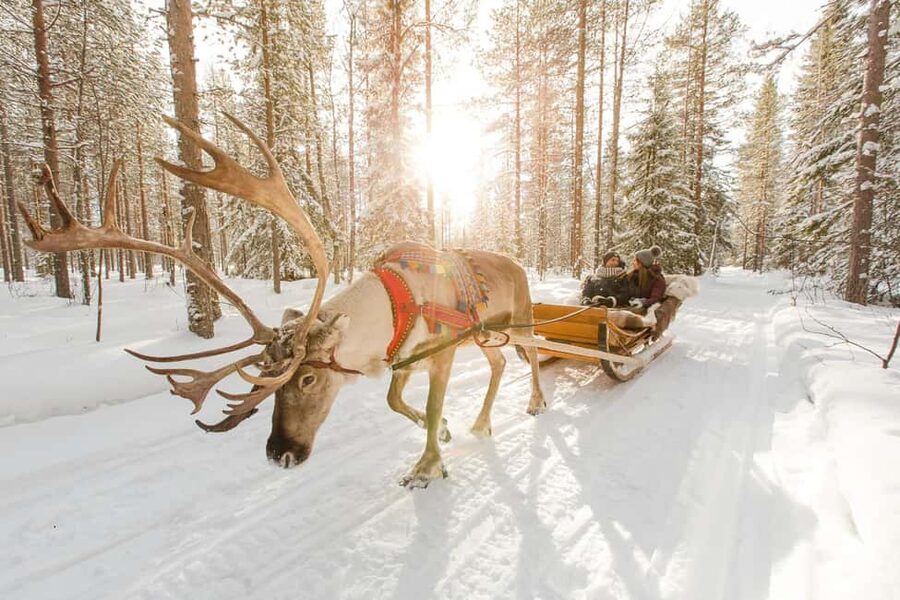Rovaniemi: Saami Reindeer Farm Visit & Sleigh Ride - Quick reasons this Rovaniemi reindeer farm visit works