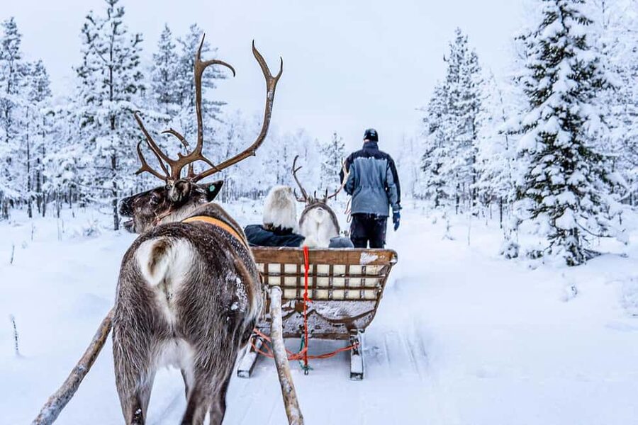 Rovaniemi: Saami Reindeer Farm Visit & Sleigh Ride - Price and value check: what $129 buys you
