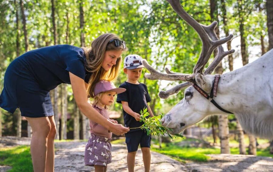 Rovaniemi: Saami Reindeer Farm Visit & Sleigh Ride - When you should be cautious about expectations