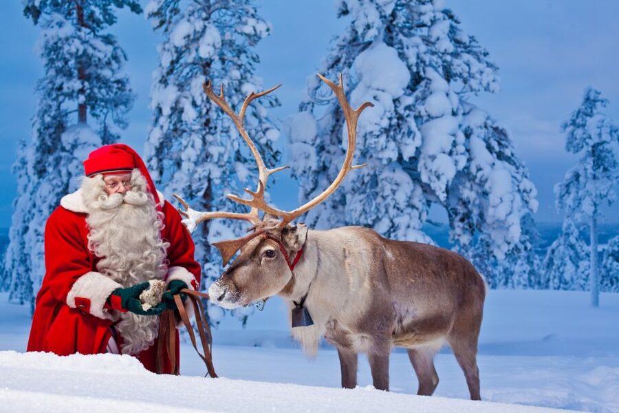Rovaniemi: Santa Claus Village and Arctic Circle - Who should book this Santa Claus Village and Arctic Circle tour