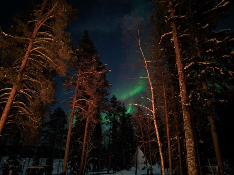 Rovaniemi:Santa Claus Village Guided Tour with Santa's gift - Key things that make this tour worth your time