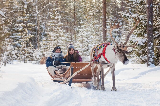 Rovaniemi Santa Claus Village Husky and Reindeer Tour VIP VAN - Reindeer farm time: slower, quieter, and very Lapland