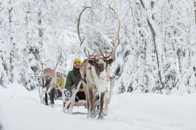 Rovaniemi Santa Claus Village Husky and Reindeer Tour VIP VAN - Timing and group size: how to avoid losing hours in the cold