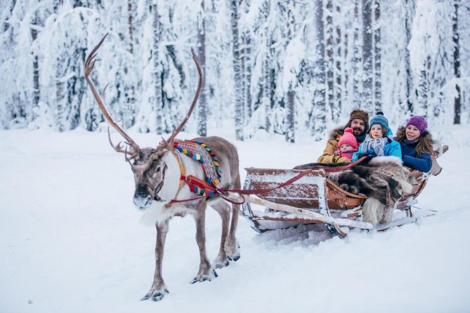 Rovaniemi Santa Claus Village Husky Reindeer Farm Arctic Museum - Price and value: what $298.47 buys (and what it doesn’t)