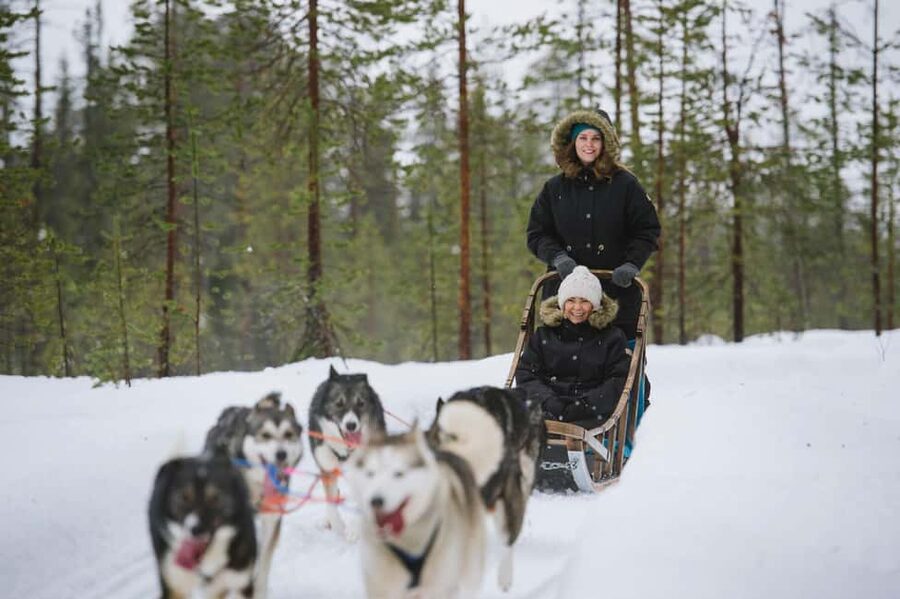 Rovaniemi: Santa Claus Village, Husky & Reindeer Tour - Husky and reindeer farm visit: hands-on animal time done safely