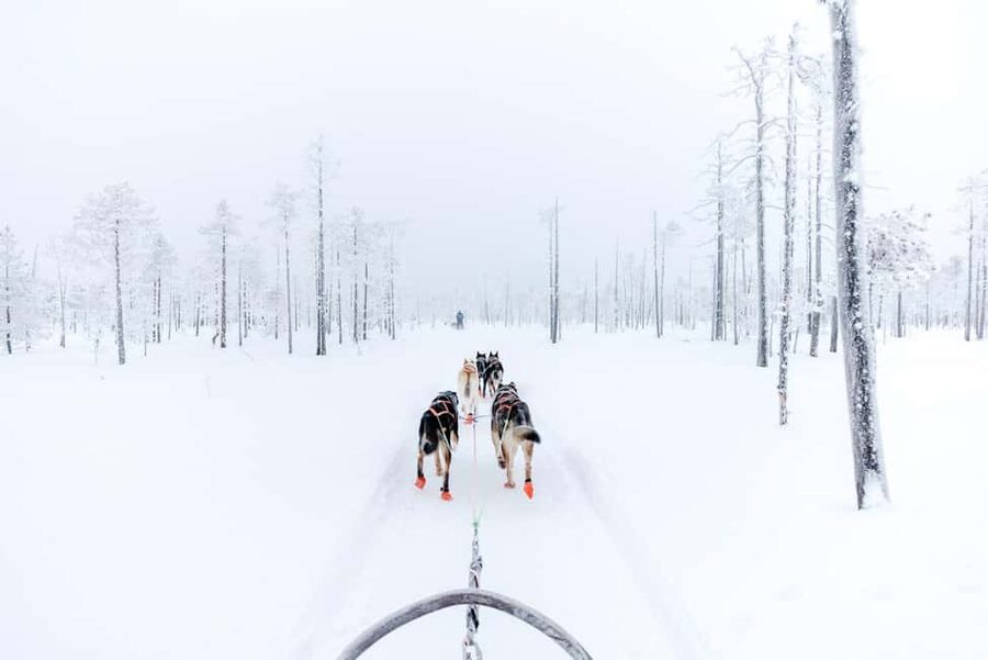 Rovaniemi: Santa Claus Village, Husky & Reindeer Tour - Getting the most out of your day: simple prep that prevents misery