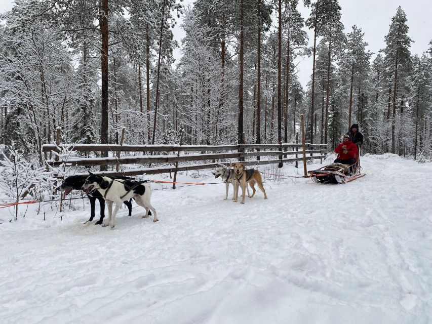 Rovaniemi: Santa Claus Village Tour Huskies & Reindeer Visit - What’s Included vs. Not Included: The Stuff You Should Plan For