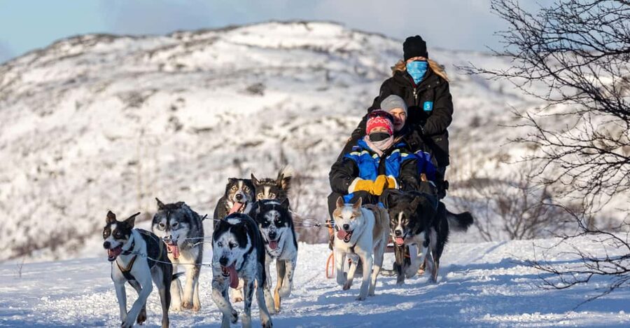 Rovaniemi: Santa's Village, Husky, & Reindeer Sled Ride - Key Takeaways Before You Go