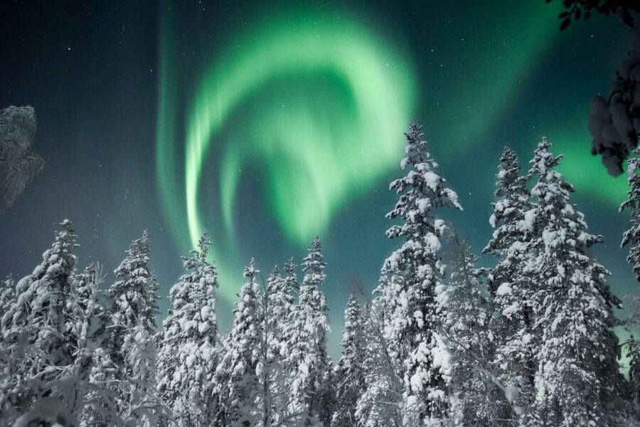 Rovaniemi: Search for Northern Lights Snowmobiling Trip - The guided start at Wild Nordic Safari Center