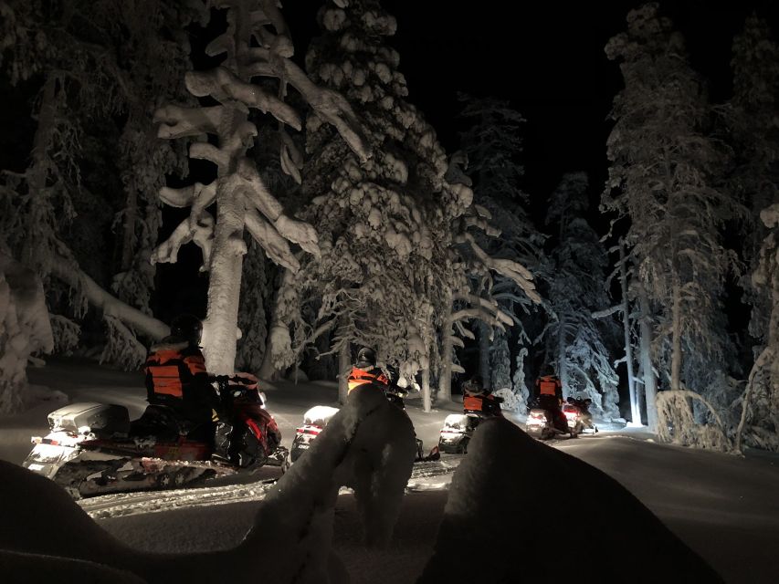 Rovaniemi: Search for Northern Lights Snowmobiling Trip - Price and value: is $199 fair for 2 hours?