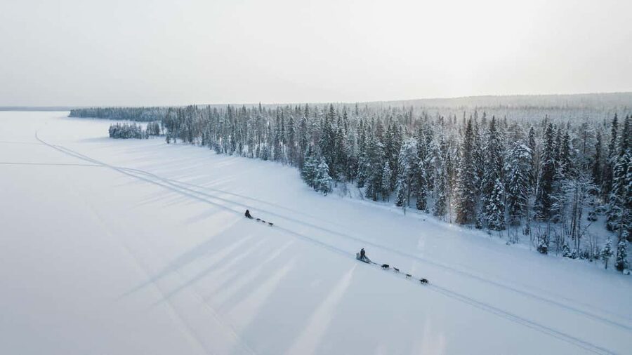 Rovaniemi: Self-Driving Husky Tour 7-kilometers - A self-driving husky safari is more than a ride