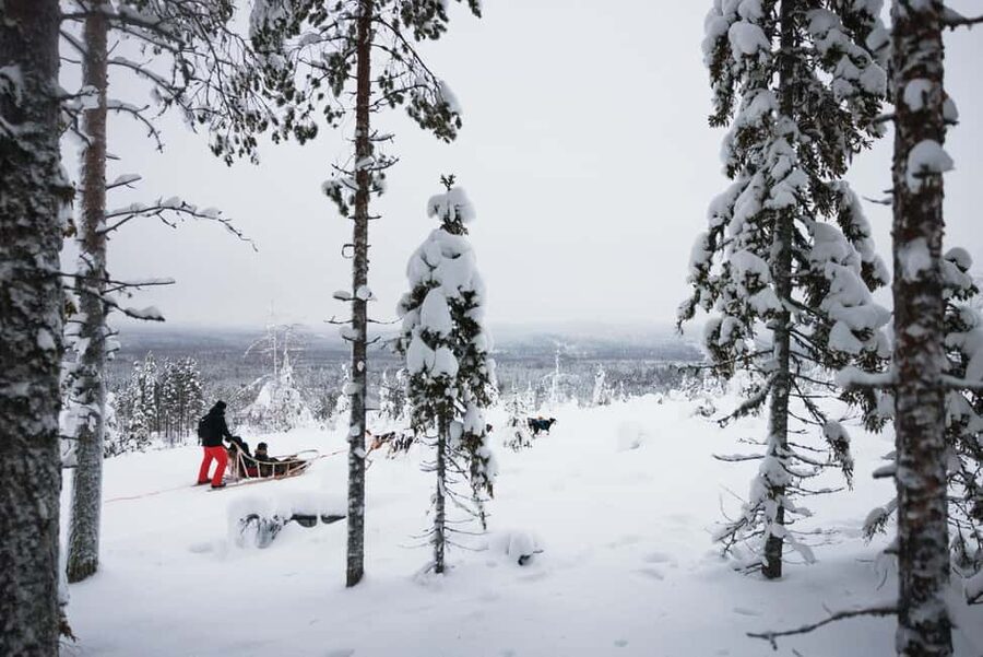Rovaniemi: Self-Driving Husky Tour 7-kilometers - Practical tips so your day goes smoothly
