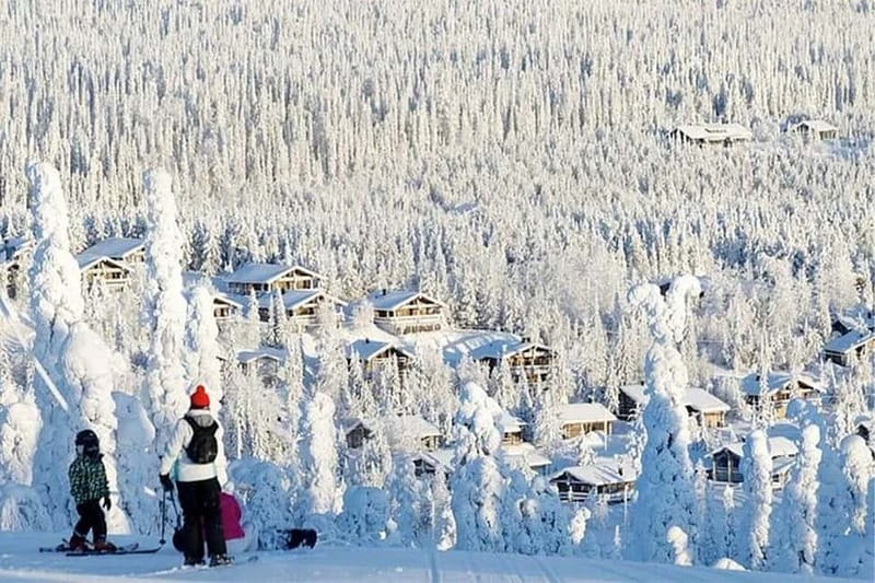 Rovaniemi: Slalom and Alpine Skiing - Who this tour suits best (and who should look elsewhere)