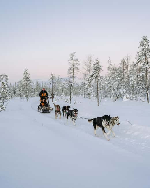 Rovaniemi: Small group Adults-Only 12-18km Husky Tour - Picking Up in Rovaniemi and Arriving at Bearhill Husky