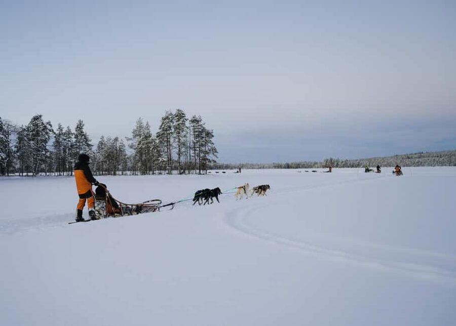 Rovaniemi: Small group Adults-Only 12-18km Husky Tour - The 12–18 km Husky Sled Ride Through Snow, Forest, and Frozen Water