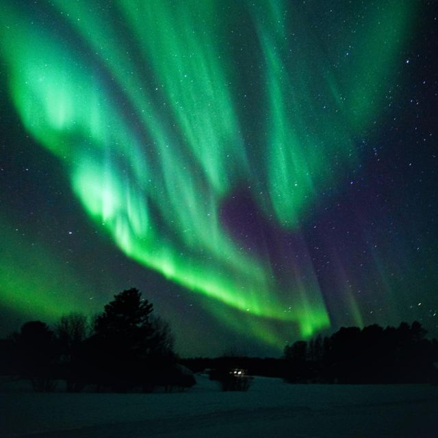 Rovaniemi: Small Group Aurora Hunt-full money back guarantee - FAQ