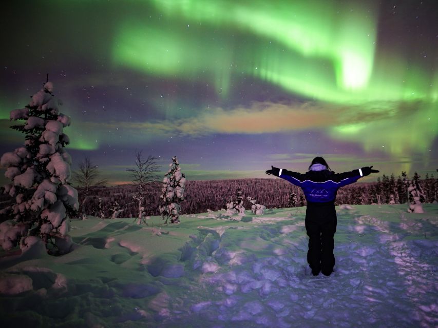 Rovaniemi: Small-Group Northern Lights Wilderness Tour - Key Points at a Glance