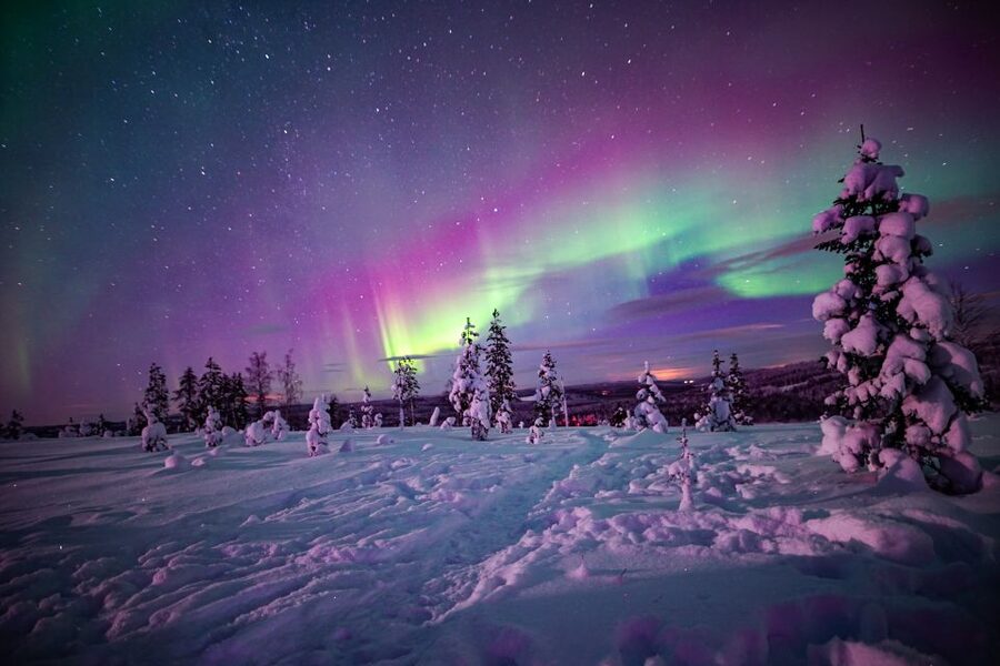 Rovaniemi: Small-Group Northern Lights Wilderness Tour - Price and Value: Is $136 Reasonable for This Much Effort?