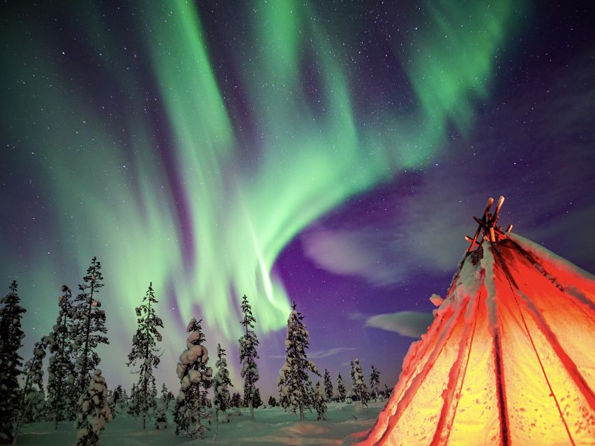 Rovaniemi: Small-Group Northern Lights Wilderness Tour - Who This Tour Suits Best in Lapland
