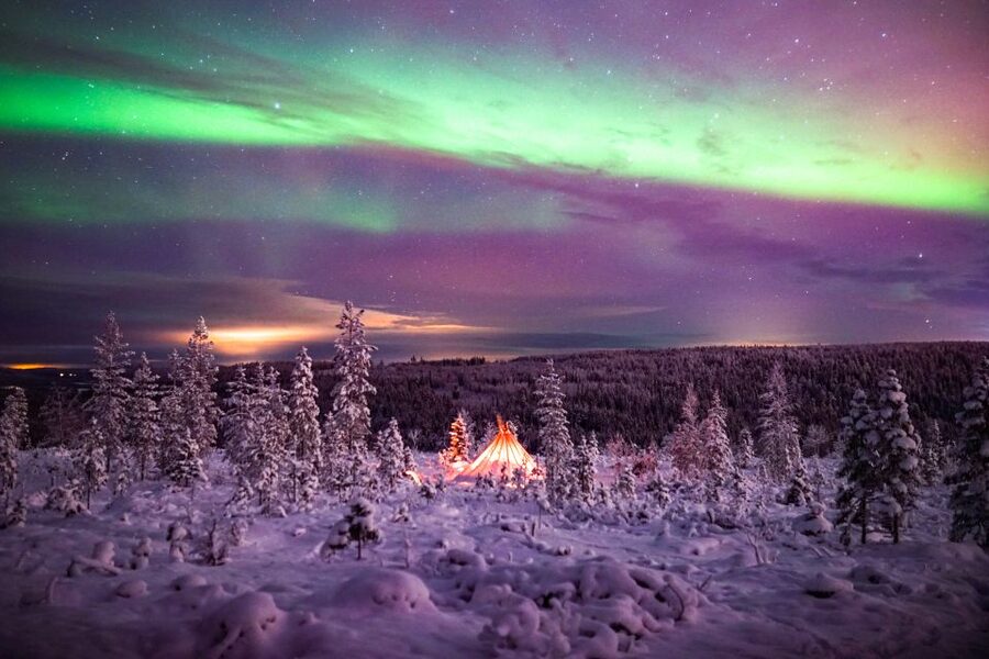 Northern lights over a snowy forest near Rovaniemi