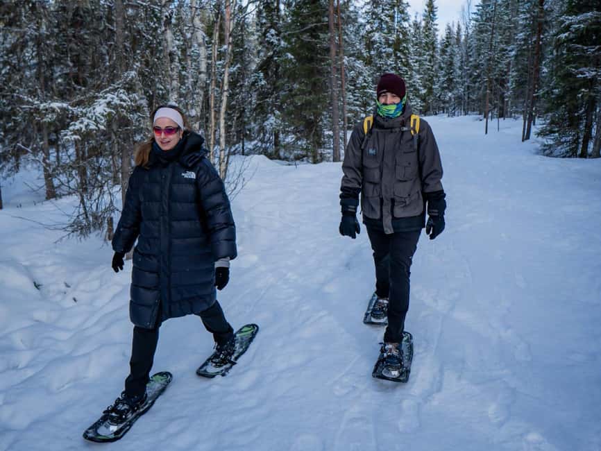 Rovaniemi: Small-Group Snowshoe Tour at Vikaköngäs & BBQ - Why Vikaköngäs Snowshoeing Feels Like Real Lapland