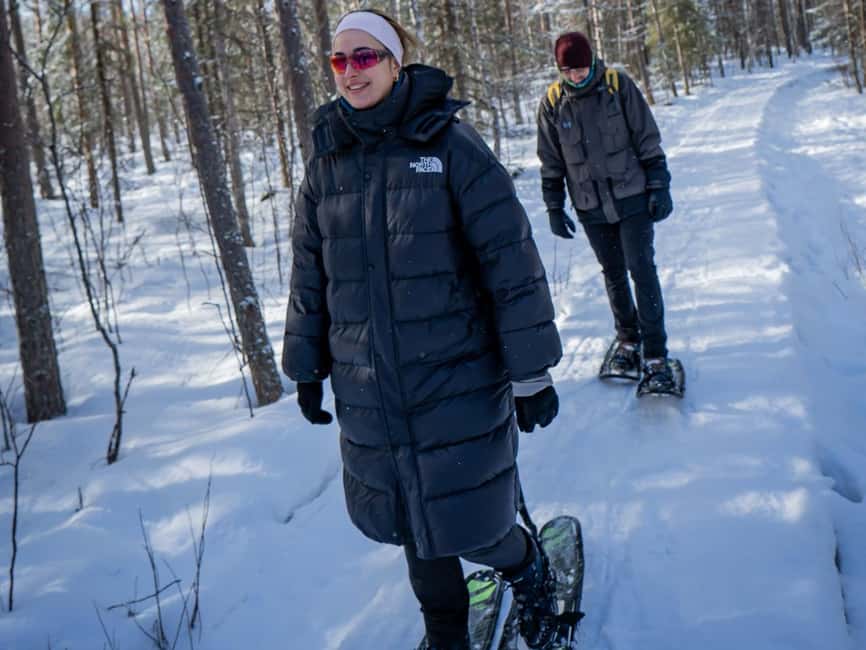 Rovaniemi: Small-Group Snowshoe Tour at Vikaköngäs & BBQ - Who This Tour Suits Best (and Who Should Skip It)
