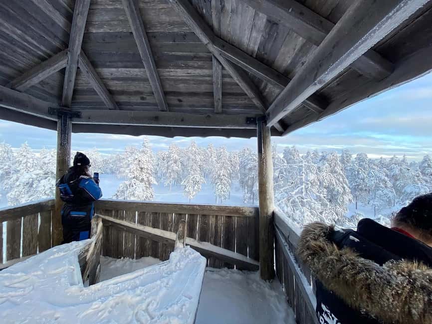 Rovaniemi: Small-Group Snowshoe Tour at Vikaköngäs & BBQ - Your 3-Hour Flow: Forest, Frozen Water, and a Fire-Stop Reset