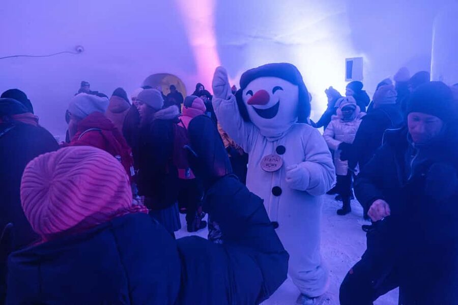 Rovaniemi: Snowman World Entry Ticket in Santa Claus Village - Should you book this Snowman World ticket?