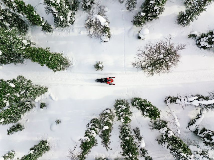 Rovaniemi: Snowmobile Safari Adventure - Key Things I’d Plan Around