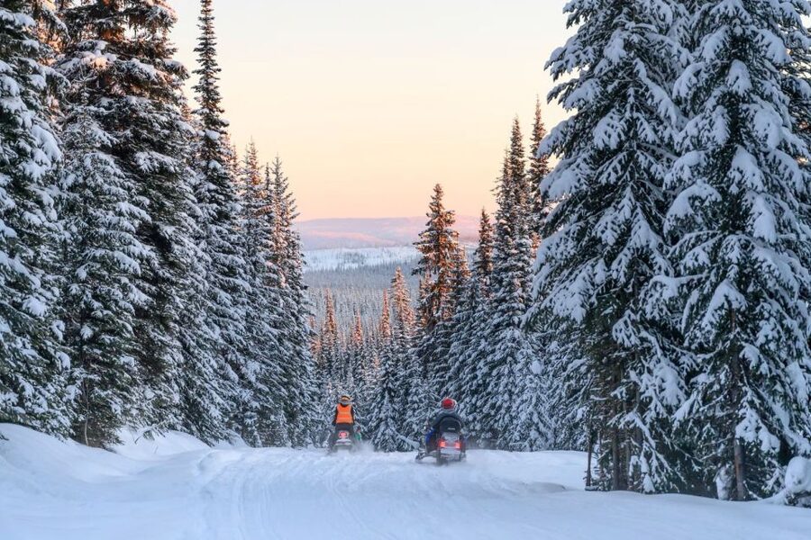 Rovaniemi: Snowmobile Safari Adventure - Should you book this snowmobile safari in Rovaniemi?