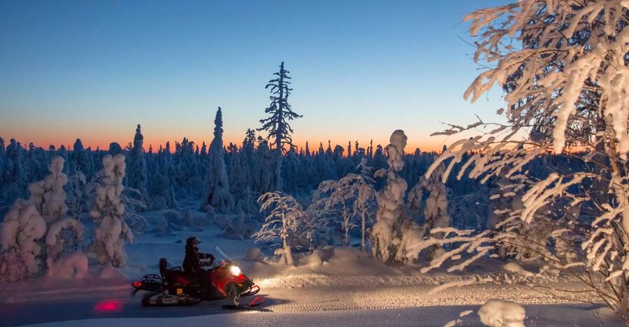 Rovaniemi: Snowmobile Safari & Campfire Evening Escape - Value check: is $175 per person fair for what you get?