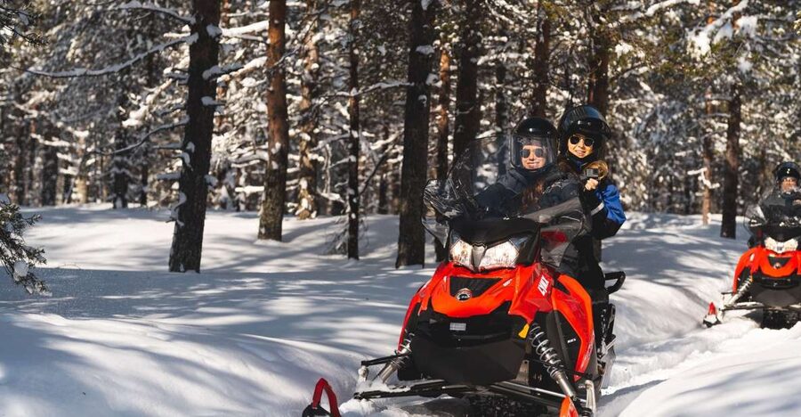 Rovaniemi: Snowmobile Safari into the Arctic Circle Forest - Key things to know before you go