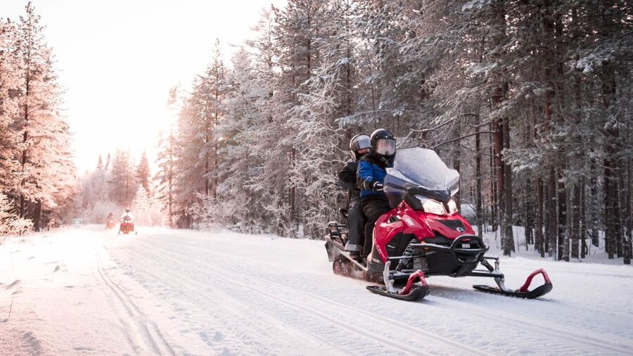 Rovaniemi: Snowmobile Safari into the Arctic Circle Forest - Wild Nordic Safari Center: the easy meeting point