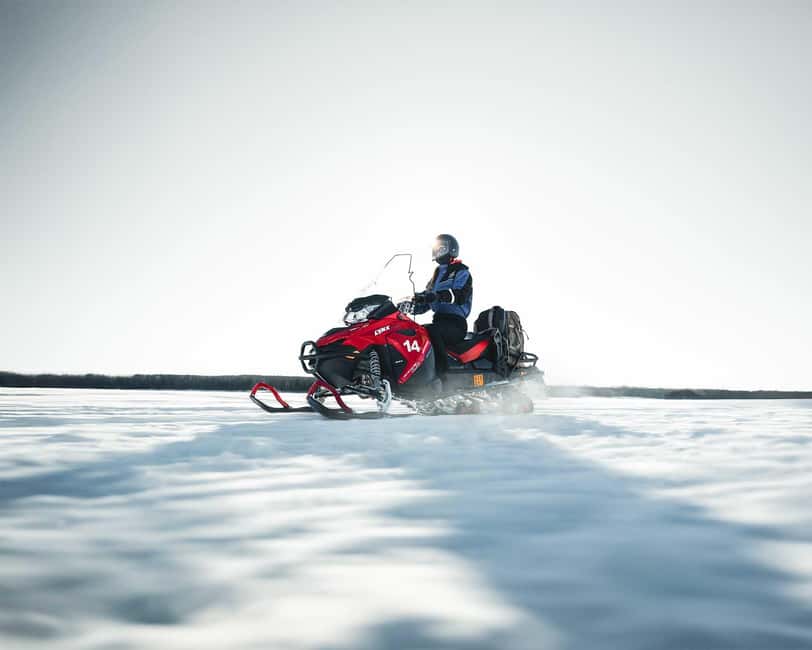 Rovaniemi: Snowmobile Safari into the Wilderness - Key highlights to look for