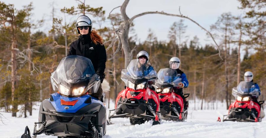 Rovaniemi: Snowmobile Safari into the Wilderness - The route: pine forests, frozen marshlands, and a real silence stop